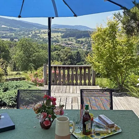 Familial 14 Pers. En Vallee De La Vetre, Charme Ancien Et Confort Moderne - Fr-1-496-349 *