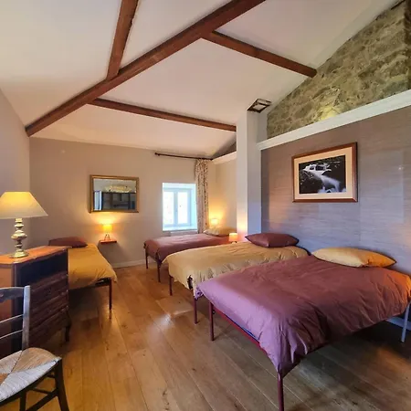 Familial 14 Pers. En Vallee De La Vetre, Charme Ancien Et Confort Moderne - Fr-1-496-349